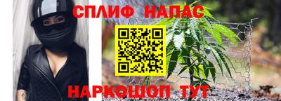 дживик Кунгур