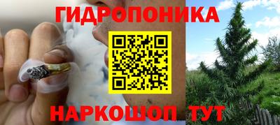дживик Кунгур