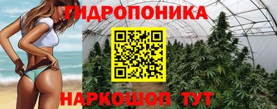 ECSTASY Кулебаки