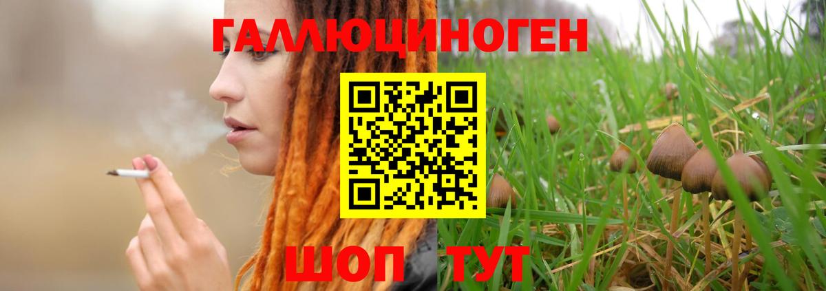 Заволжье  Галлюциногенные грибы мухоморы  Псилоцибиновые грибы прущие грибы  Вход с VPN 