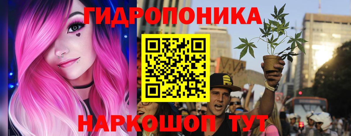 Бошки марихуана планчик  Каннабис гибрид  Заволжье  Вход с VPN  Марихуана AK-47 